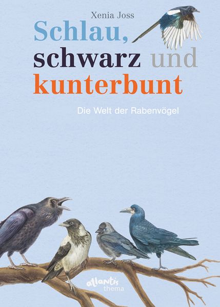Cover: Schlau, schwarz und kunterbunt