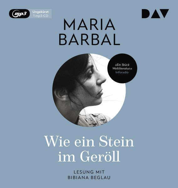 Cover: Wie ein Stein im Geröll