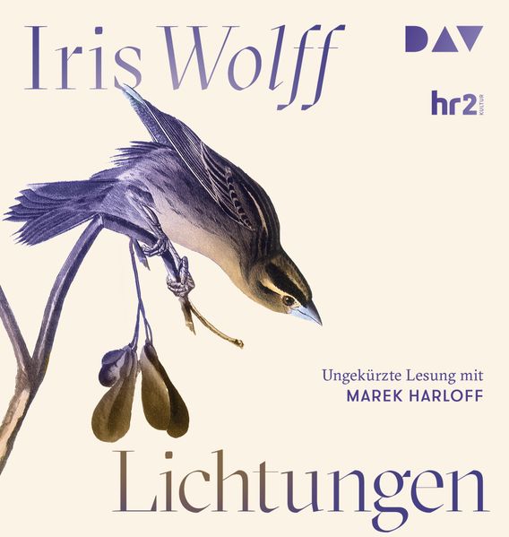 Cover: Lichtungen