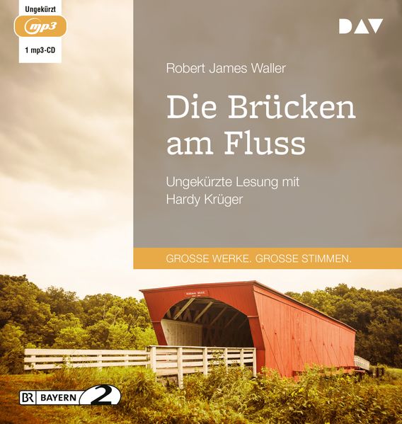 Cover: Die Brücken am Fluss