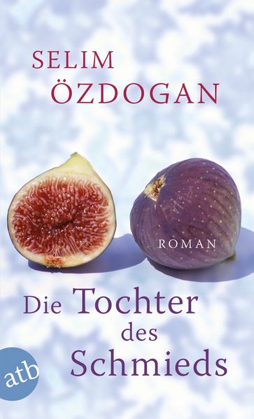 Cover: Die Tochter des Schmieds