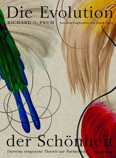Cover: Die Evolution der Schönheit