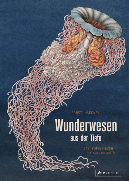 Cover: Wunderwesen aus der Tiefe. Ernst Haeckel