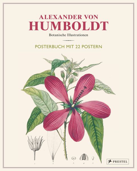 Cover: Alexander von Humboldt: Botanische Illustrationen. Posterbuch mit 22 Postern