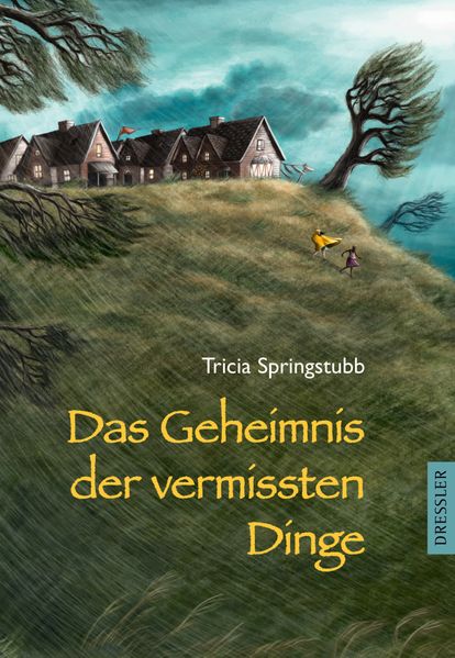 Cover: Das Geheimnis der vermissten Dinge