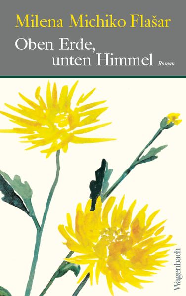 Cover: Oben Erde, unten Himmel