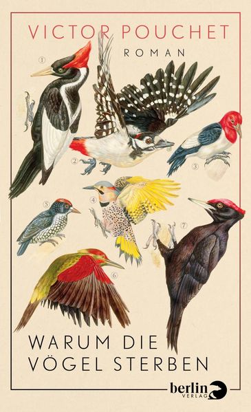 Cover: Warum die Vögel sterben