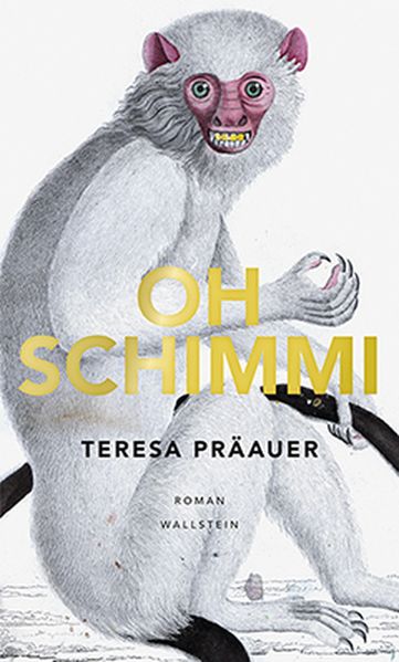 Cover: Oh Schimmi
