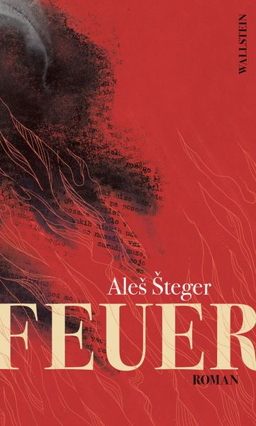 Cover: Feuer