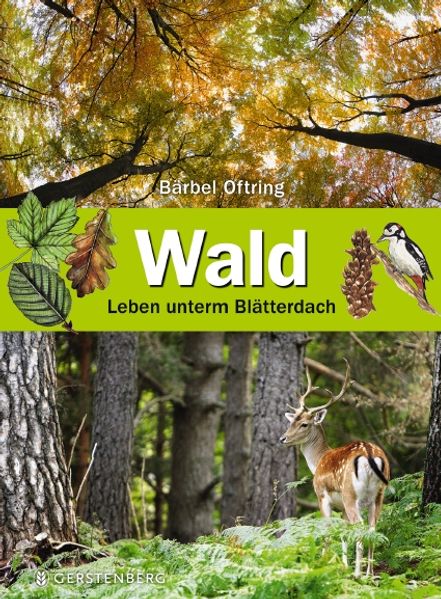 Cover: Wald