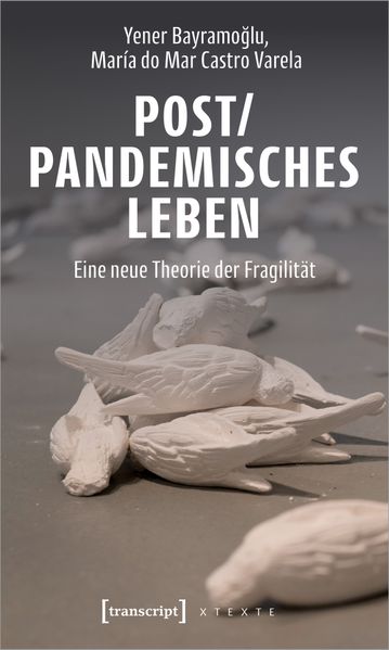 Cover: Post/pandemisches Leben