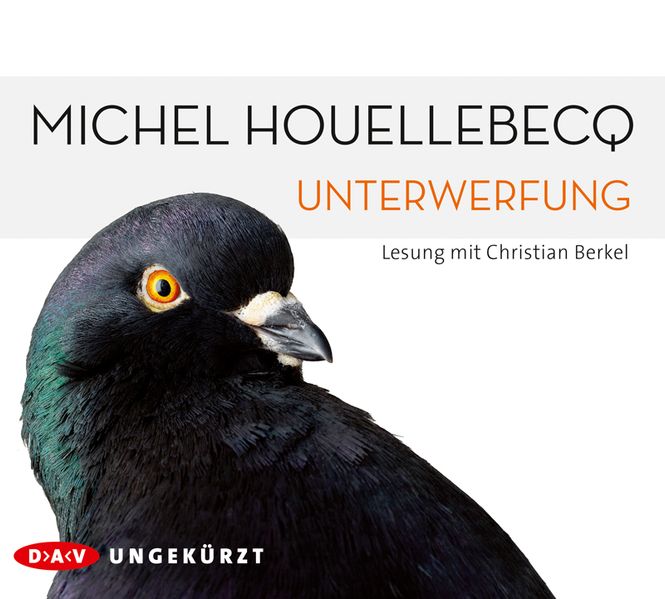 Cover: Unterwerfung