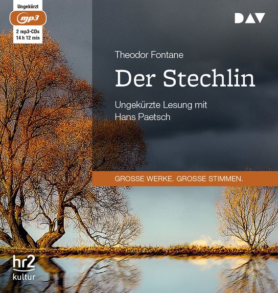 Cover: Der Stechlin