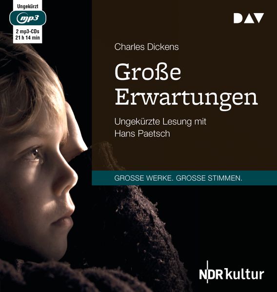 Cover: Große Erwartungen