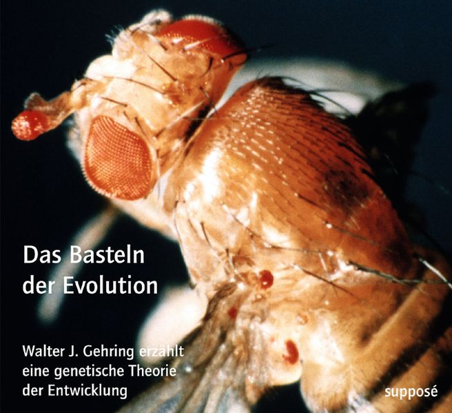 Cover: Das Basteln der Evolution