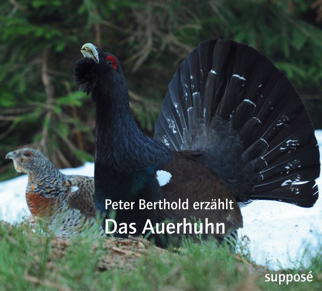 Cover: Das Auerhuhn