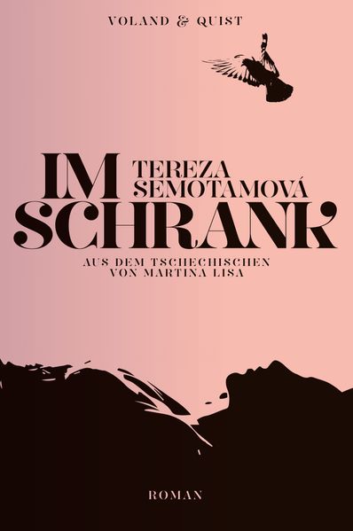 Cover: Im Schrank