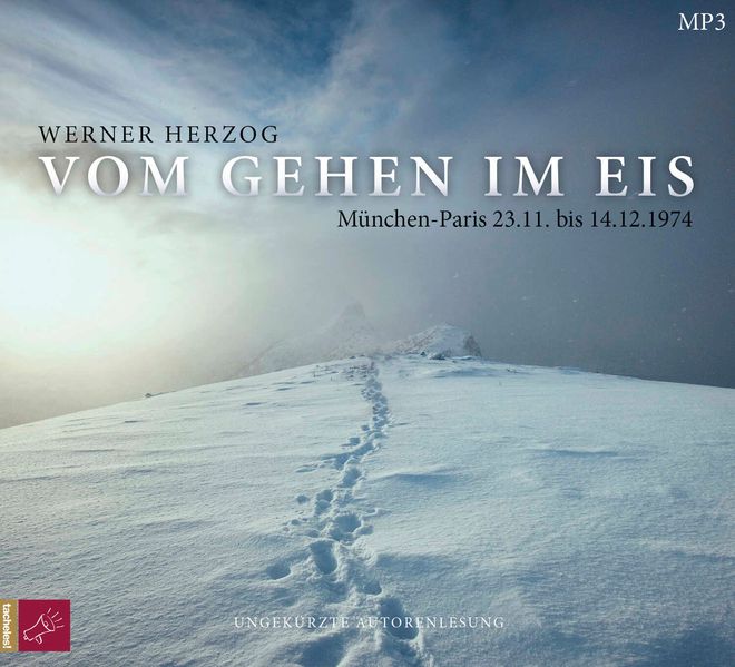 Cover: Vom Gehen im Eis