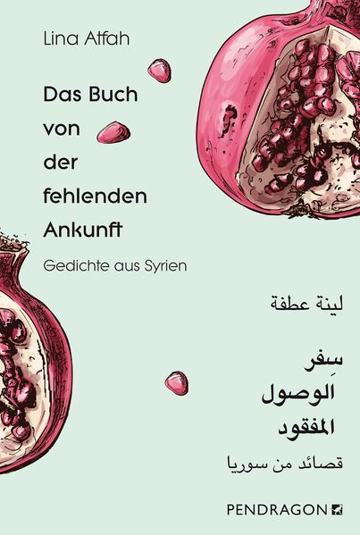 Cover: Das Buch von der fehlenden Ankunft