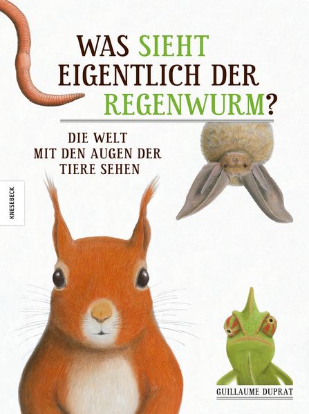 Cover: Was sieht eigentlich der Regenwurm?