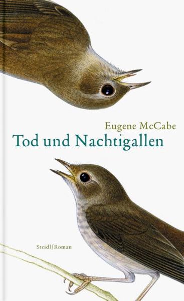 Cover: Tod und Nachtigallen