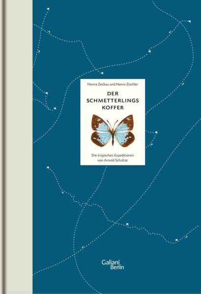 Cover: Der Schmetterlingskoffer