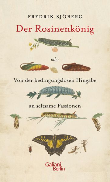 Cover: Der Rosinenkönig