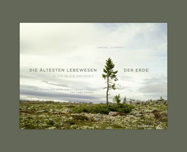 Cover: Die ältesten Lebewesen der Erde