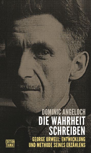 Cover: Die Wahrheit schreiben