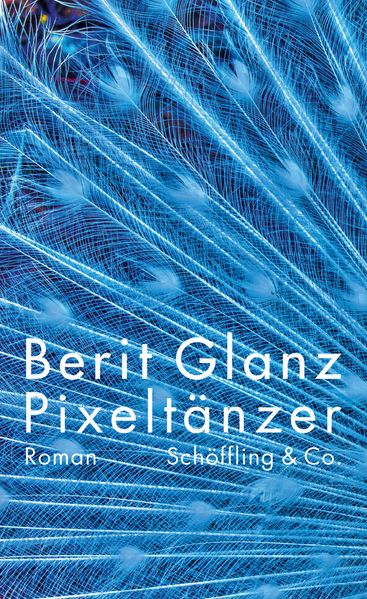 Cover: Pixeltänzer