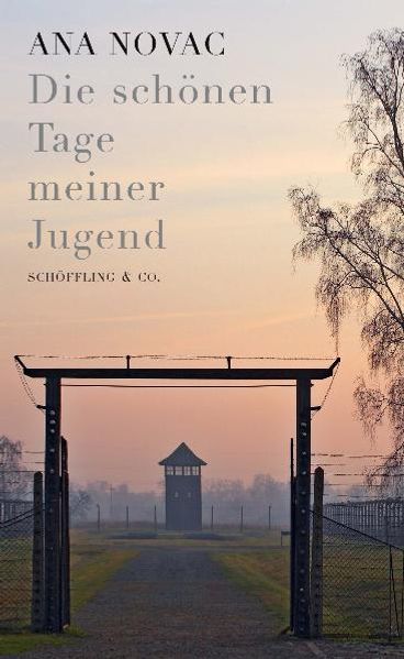 Cover: Die schönen Tage meiner Jugend