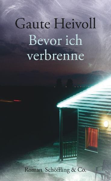 Cover: Bevor ich verbrenne