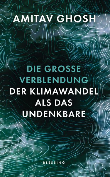 Cover: Die große Verblendung