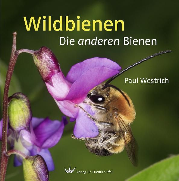 Cover: Wildbienen