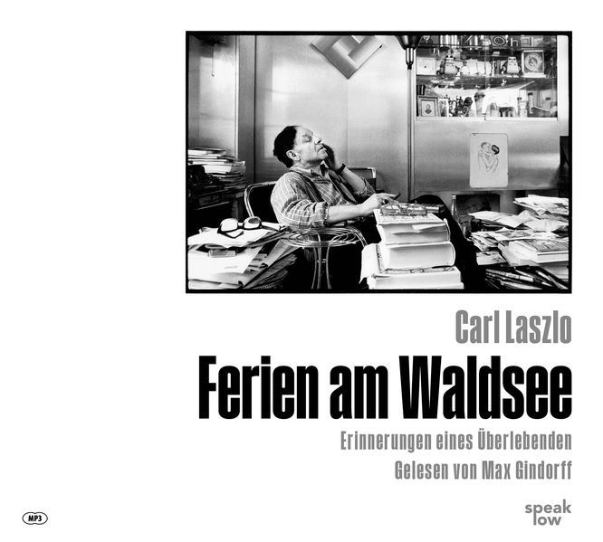 Cover: Ferien am Waldsee