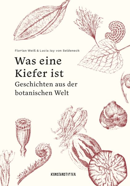 Cover: Was eine Kiefer ist