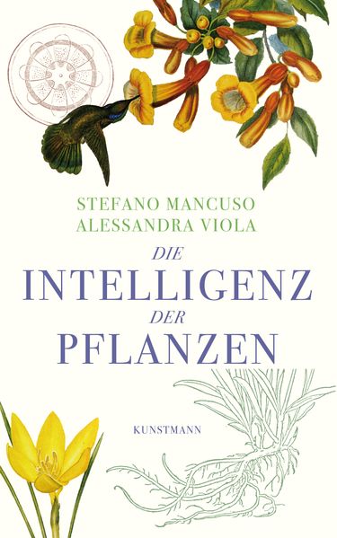 Cover: Die Intelligenz der Pflanzen