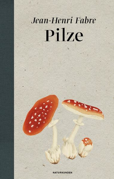 Cover: Pilze