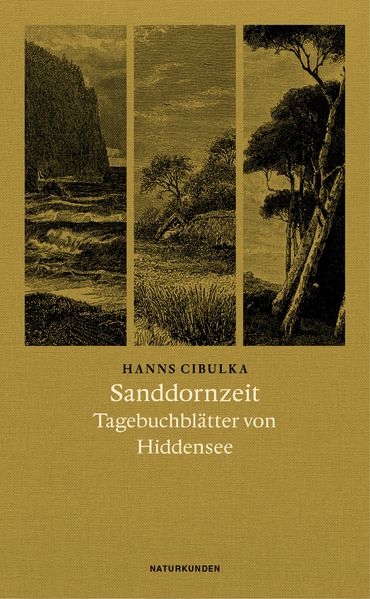 Cover: Sanddornzeit