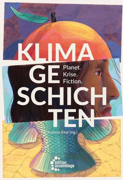 Cover: Klimageschichten