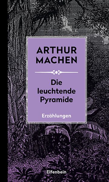 Cover: Die leuchtende Pyramide