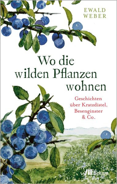 Cover: Wo die wilden Pflanzen wohnen