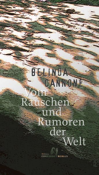 Cover: Vom Rauschen und Rumoren der Welt