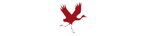 logo_Neue Deutsch-Französische Jahrbücher