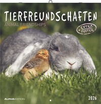 Alpha Edition - Tierfreundschaften 2026 – Broschürenkalender 30×30 cm (30×60 cm geöffnet) mit Notizbereich & Poster, Wandkalender mit süßen Tierpaaren, Planer für Tierfreunde & Deko für Zuhause