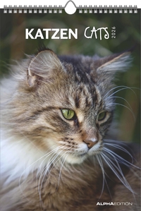 Alpha Edition - Katzen Kalender 2026 – Wandkalender 23,7×34 cm mit Katzenmotiven & Platz für Notizen, 4-sprachiges Kalendarium, dekorativer Bildkalender mit Zusatzinfos für Katzenliebhaber