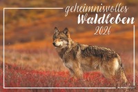 Geheimnisvolles Waldleben 2026 - Bildkalender 49,5x33 cm - Tiere und Pflanzen in unseren heimischen Wäldern - Wandkalender - Wandplaner - Tierkalender