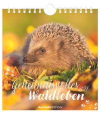 Geheimnisvolles Waldleben 2027