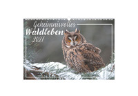 Geheimnisvolles Waldleben 2027