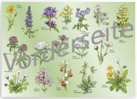 Tischset „Wiesenblumen“